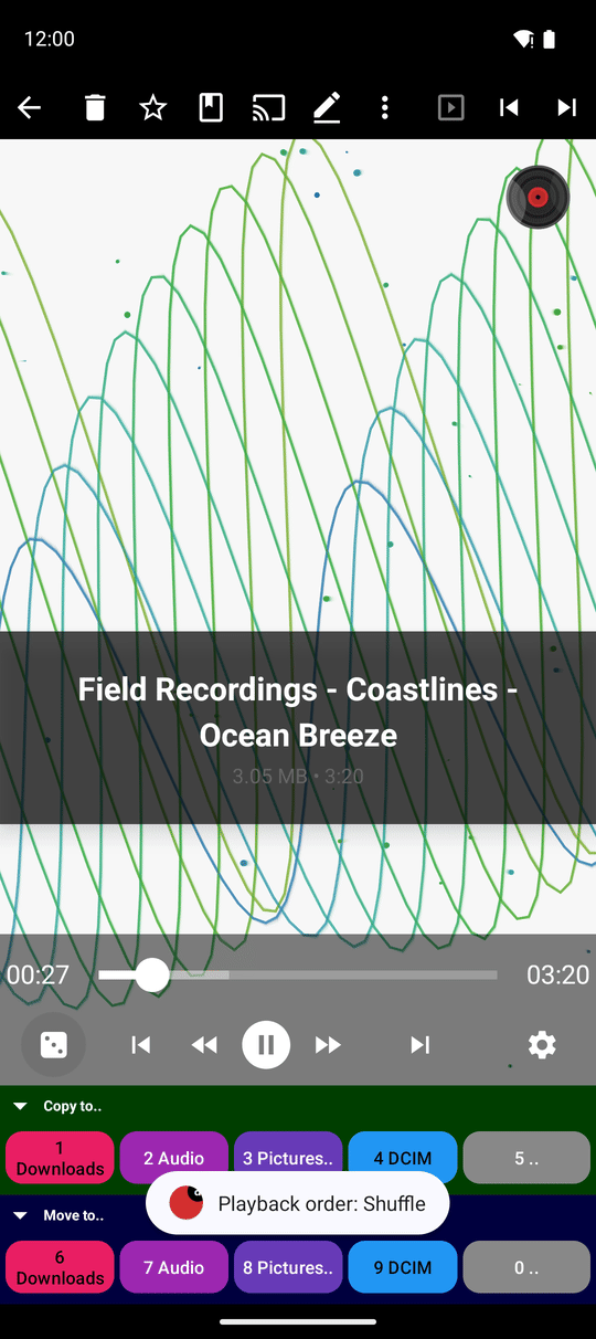 The audio player with the playback order button just tapped and the message Playback order Shuffle shown