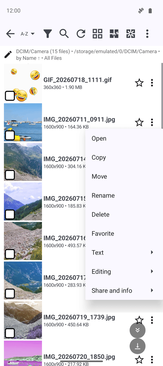 A file's three-dots menu open in the file browser with Open, Copy, Move, Rename, Delete and Favorite at the top level and the Text, Editing and Share and info submenus