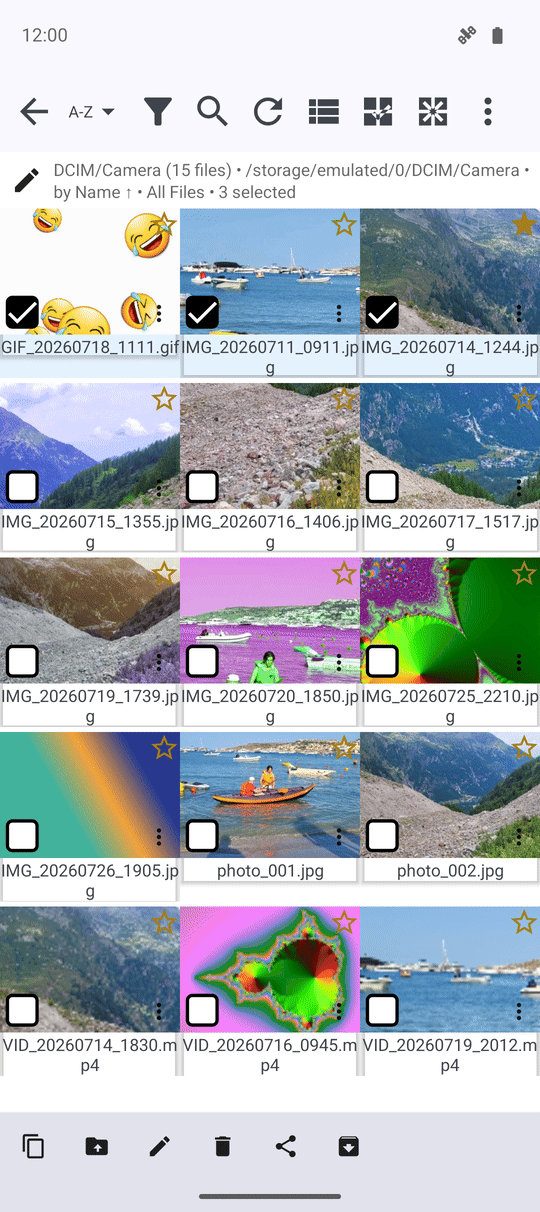 The Browse batch action bar with Copy, Move, Delete, Share and Archive buttons after several files are selected