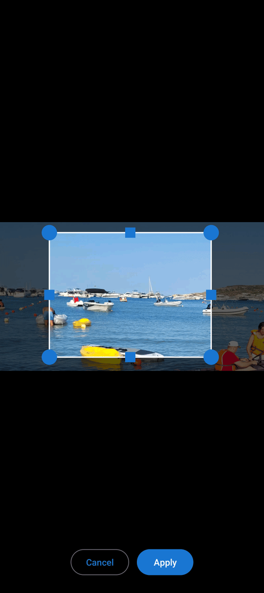 A crop frame with corner handles over a photo in the image viewer, with OK and cancel buttons