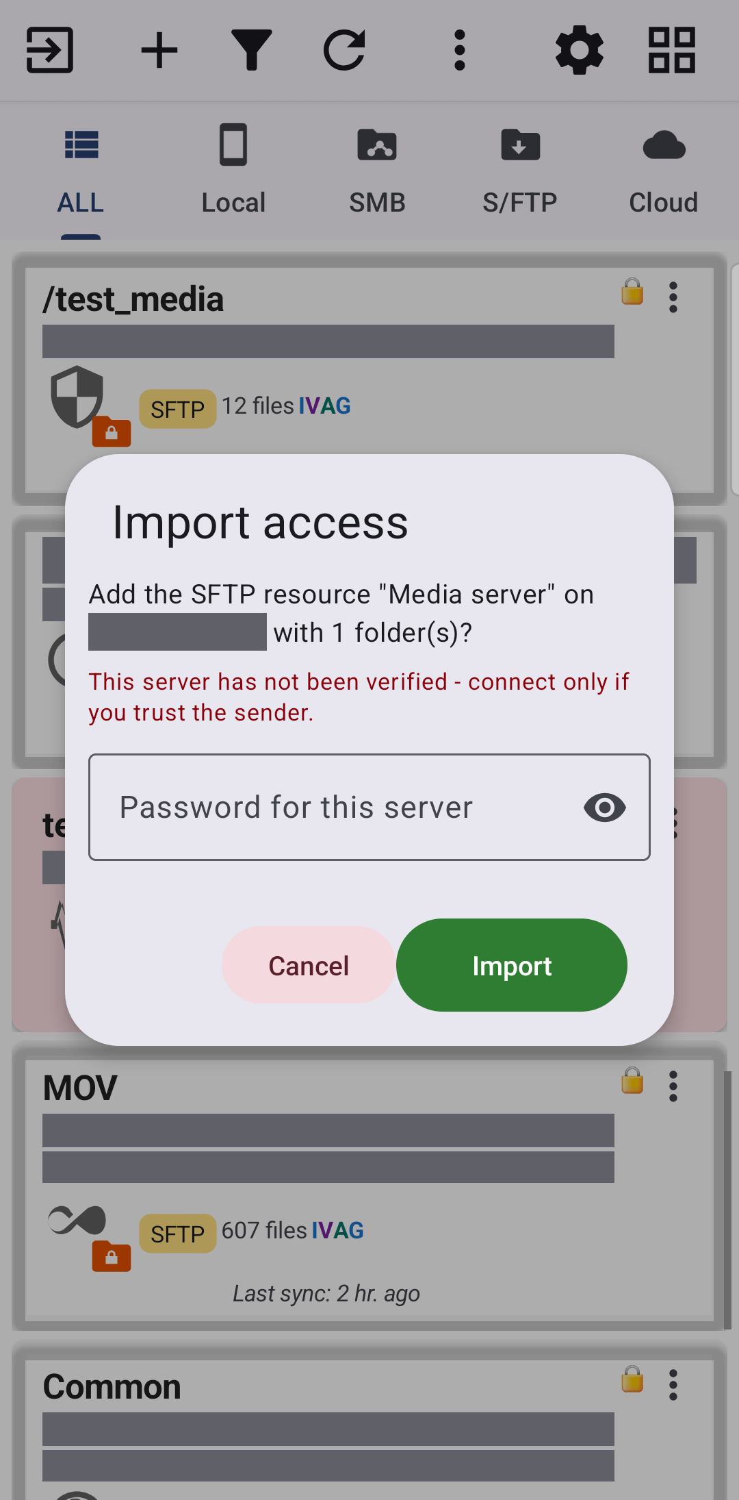 The Import access dialog confirming the SFTP resource name, server and folder count, with a password field shown