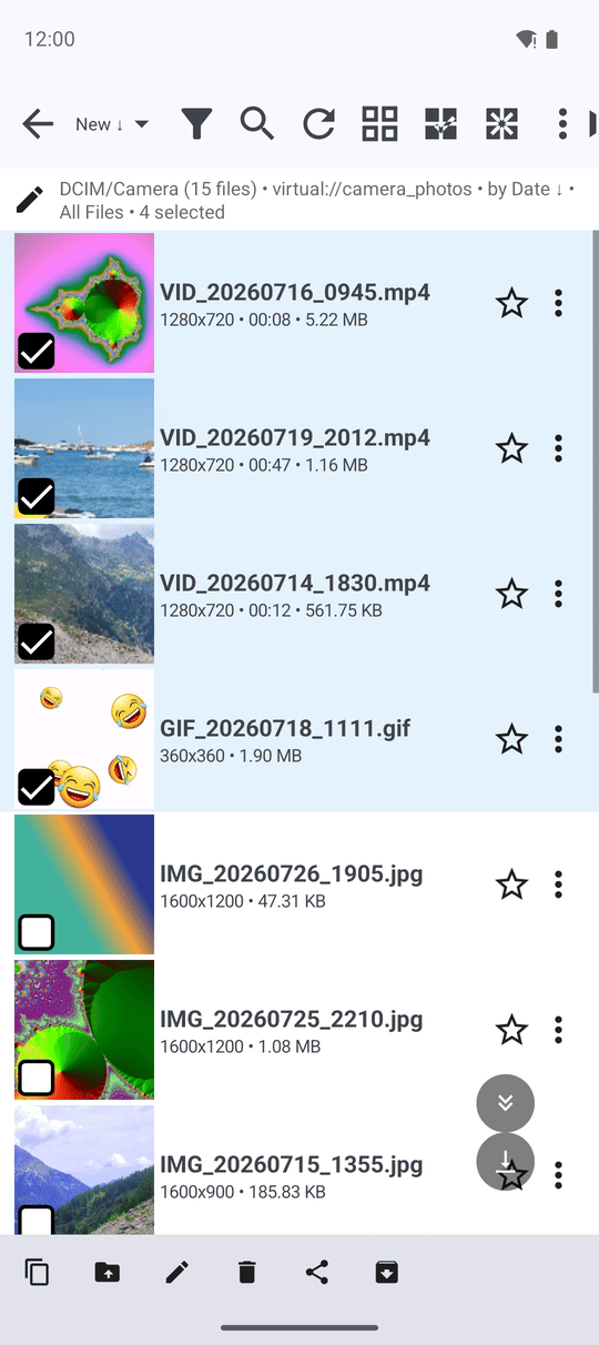 The file browser with several photos and one folder ticked, the number selected next to the folder name and the Copy, Move, Rename, Delete, Share and Archive bar at the bottom