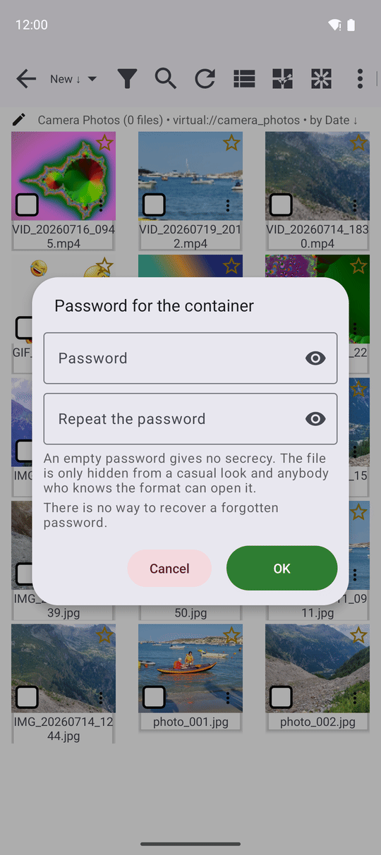 The Password for the container window with two password fields and the warning that a forgotten password cannot be recovered